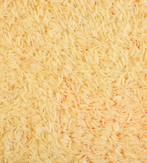 Rice paddy field in Pakistan, the source of Pak Agro Foods grain